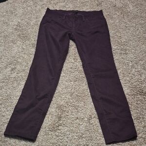 Ann Taylor Purple Women's Pants